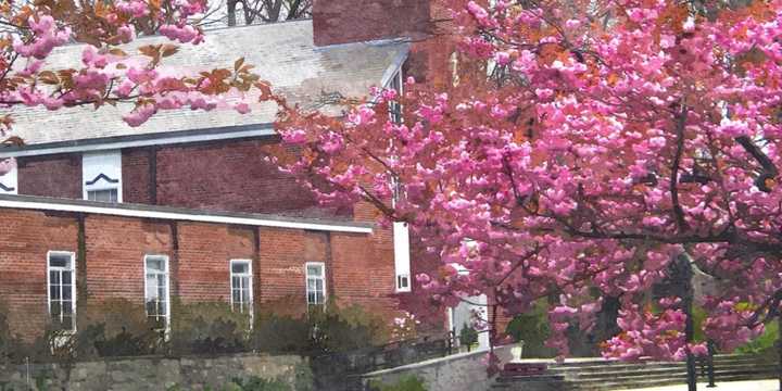 First Congregational Church of Chappaqua will hold a vigil for victims of gun violence.