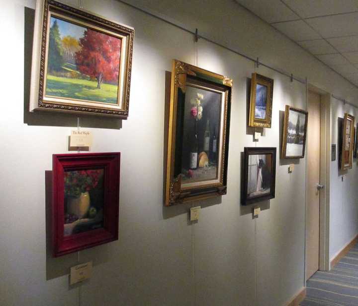 The art is on display at Valley Hospital