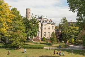 College Of New Rochelle Closure Seen As Likely