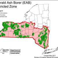 <p>Eight existing Emerald Ash Borer (EAB) Restricted Zones have been expanded and merged into a single Restricted Zone.</p>