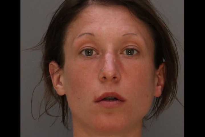 Police: Burglar Leads Officers On Foot Pursuit After Witness Spots Her Entering Doylestown Home