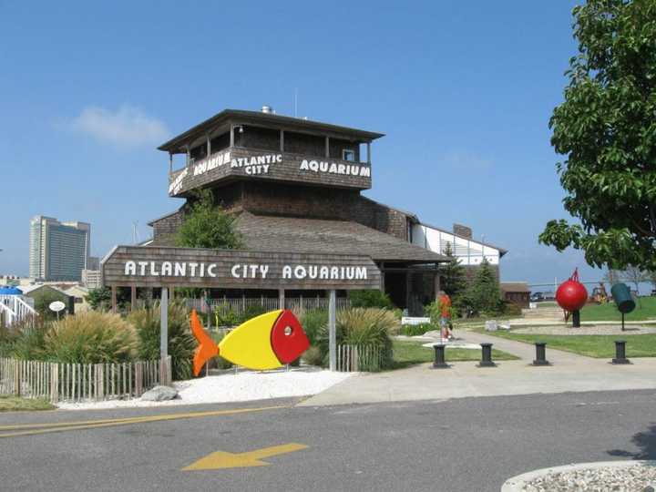 The Atlantic City Aquarium.