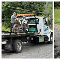 Bensalem Police Crack Down On 'Illegal' ATVs