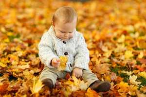 Family Fall Festival Comes To Closter Commons