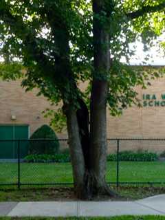 All's Well At Ridgewood's Travell School After Smokey Start