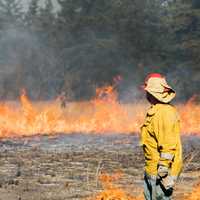 Wildfire At Former Golf Course Destroys 65 Acres In South Jersey