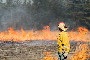 Wildfire At Former Golf Course Destroys 65 Acres In South Jersey