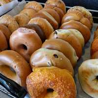 <p>Bagel lovers in Fairfield County know where to get the best.</p>