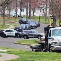 Skeletal Remains Found In Montco Identified: Coroner