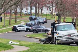 Skeletal Remains Found In Montco Identified: Coroner