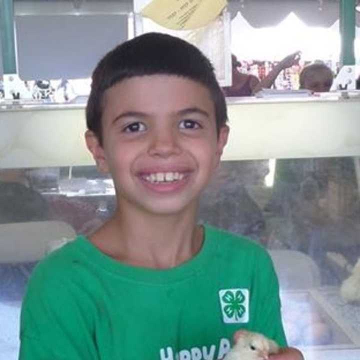 A young boy holds a chick at the 4-H hatching exhibit at the 2014 Bergen County Fall Harvest Festival.