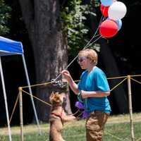 <p>Petpalooza returned to Neperan Park on June 25.</p>