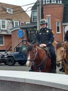 Bridgeport Man Faces Cruelty Charge After Police Rescue Puppies From Car