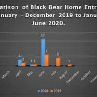 Here's How Many Bears Have Entered Homes Of CT Residents, Called ‘Unprecedented' By DEEP
