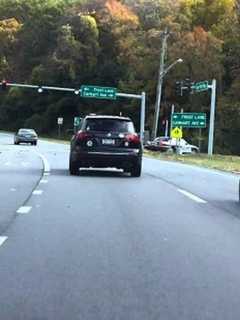 Lost Dog Spotted Running Across Busy Cortlandt Manor Highway
