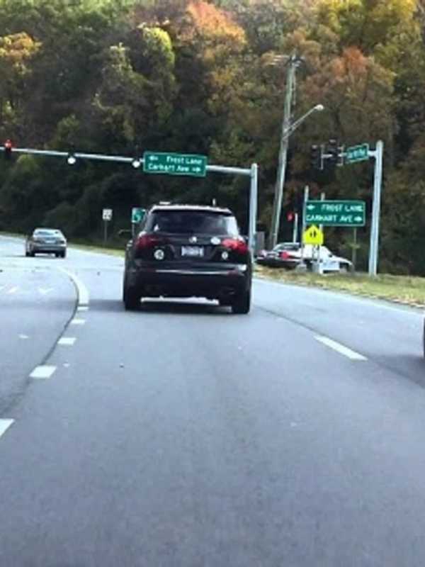 Lost Dog Spotted Running Across Busy Cortlandt Manor Highway