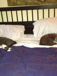 Are You And Your Partner On The Same Sleep Cycle, Greenburgh?