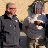 Western Mass Woman Chooses Plan Bees To Fight Off Deputies During Eviction: Police