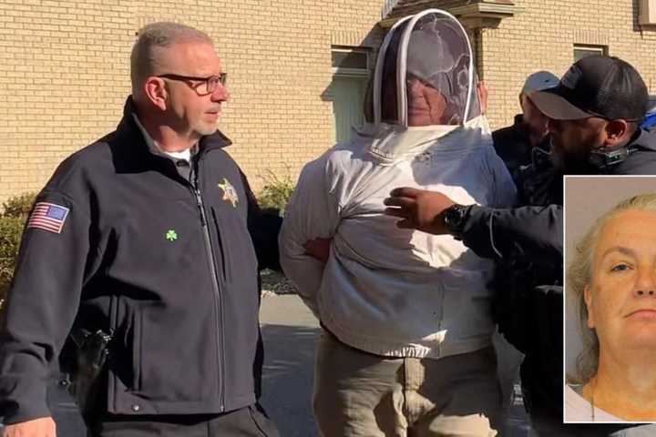 Western Mass Woman Chooses Plan Bees To Fight Off Deputies During Eviction: Police