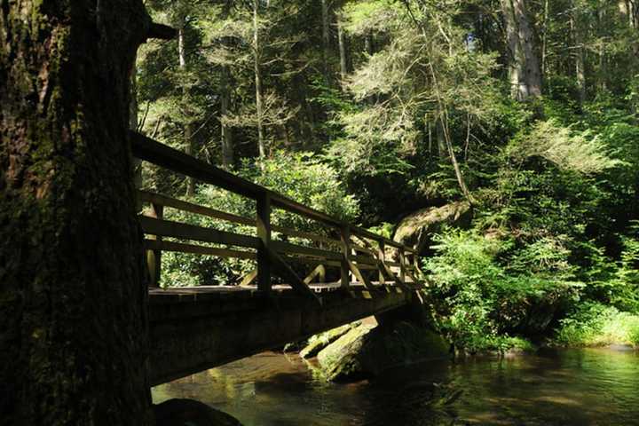 Elderly Bucks Man Takes Terrifying Tumble Off Beltzville State Park Embankment: Report