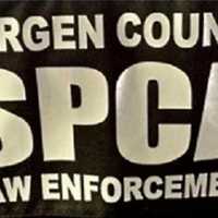 <p>Bergen SPCA</p>