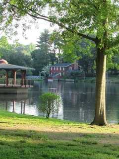 Bergenfield Named Tree City USA By Arbor Day Foundation