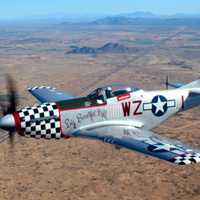 <p>Former Sikorsky President Jeffrey Pino died in a crash of his World War II-era fighter, an F-51D Mustang named &#x27;Big Beautiful Doll.</p>