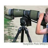 Bird Watch With The Saw Mill River Audubon in Chappaqua