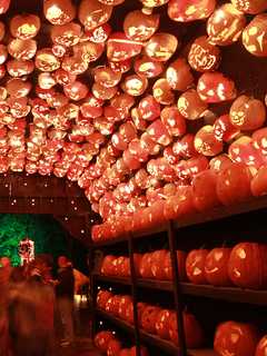 Great Jack O'Lantern Blaze Lights Up Halloween In Westchester