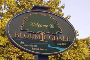 Bloomingdale BOE Scales Back Meeting Schedule