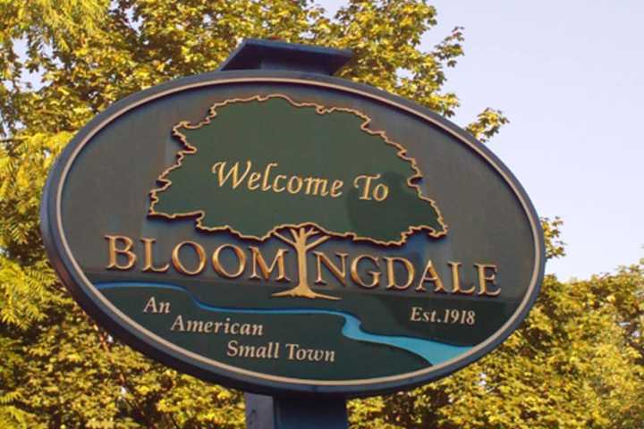Bloomingdale BOE Scales Back Meeting Schedule