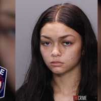 Lehigh Valley Woman Hit And Scratched Officers, Police Say