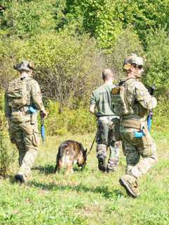 Cuomo Announces $2.5M For Bomb Squads, Explosive Detection Canine Teams