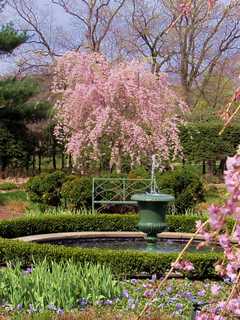 Partners With Parc Hosts Annual Secret Garden Tour