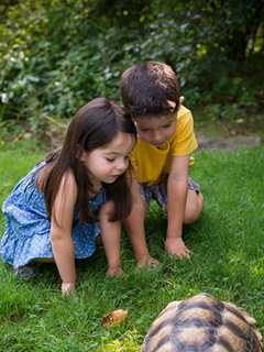 Greenburgh Nature Center Offers Classes For Young Children