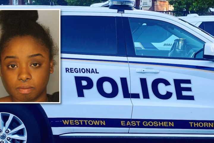 West Chester Woman Charged With Baseball Bat Attack