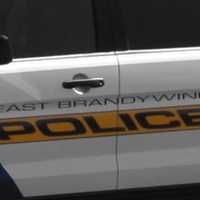'Unstable Subject' Barricaded In Chesco Home, Neighbors Take Shelter: Police