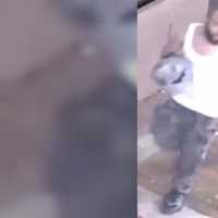 <p>Suspect in the Fox 29 Philadelphia vandalism incident.&nbsp;</p>