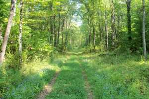 Brownell Preserve To Reopen In Goldens Bridge After Yearlong Renovation