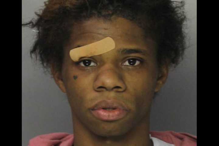 Susquehanna PD: Maryland Fugitive Threatens To Kill, Spits In Face Of Hotel Guest