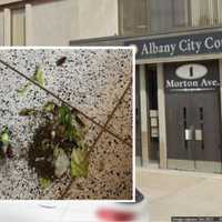 Capital District Courthouse Evacuated After Protester Releases Cockroaches