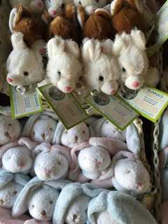 Wyckoff Bunny Fundraiser Continues, To Benefit Children, Raise Awareness