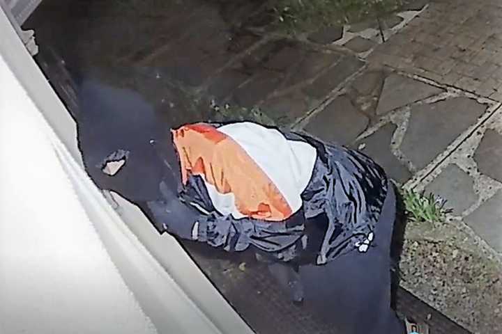 WATCH THIS: Englewood Cat Burglar Tries Breaking In While Residents Are Home
