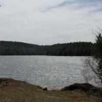 Officials Investigating Cause Of Death For Woman Found At CT State Park