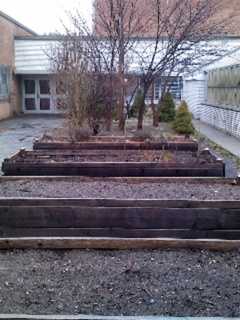 Mount Vernon High School Seeks Support For $20,000 Grant For Garden