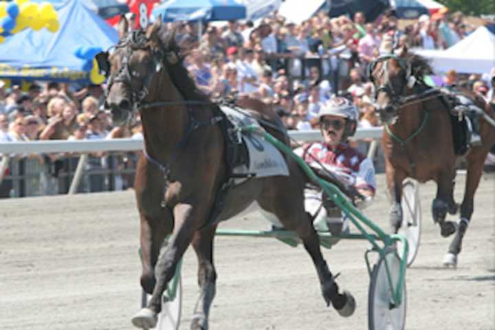 Harness Racing Returns To The Meadowlands Friday