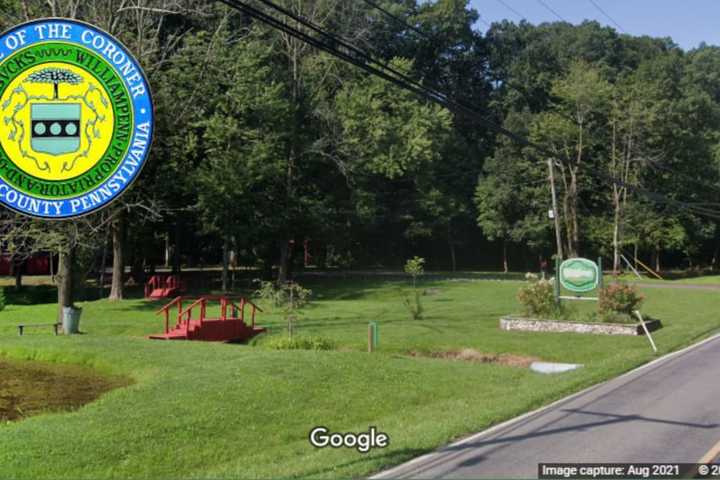 Coroner IDs Camper Killed By Falling Tree In Bucks County