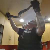 <p>Lower Windsor Township officers responded to two homes and removed a total of three snakes.</p>