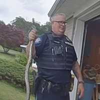 <p>Lower Windsor Township officers responded to two homes and removed a total of three snakes.</p>