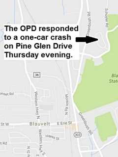 Man Crashes Into Trees In Blauvelt, Charged With DWI
